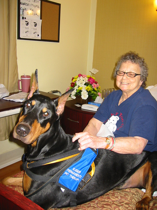 Therapy Dogs Doberman Pinscher Club of Northern California