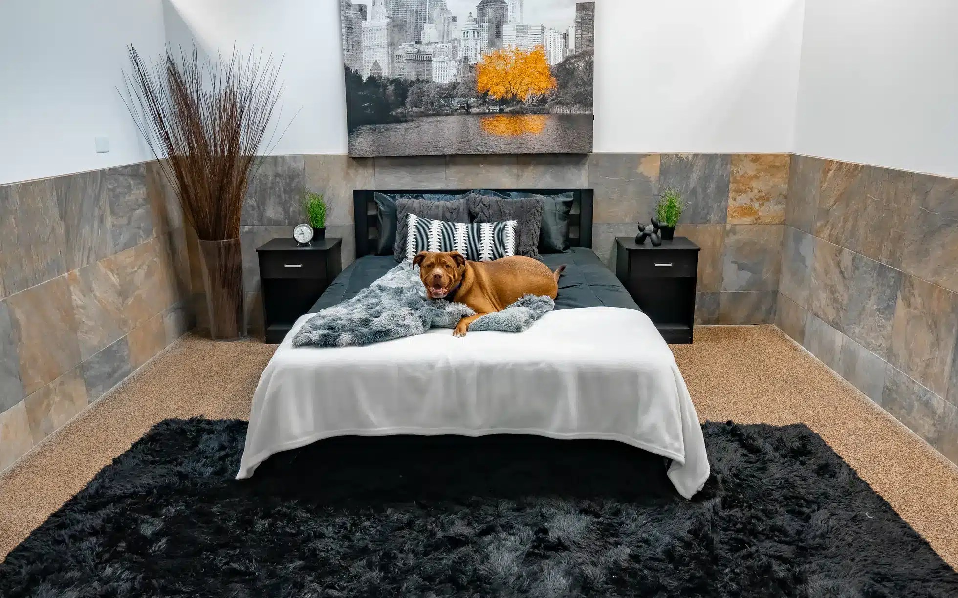 Franchise DPet Hotels