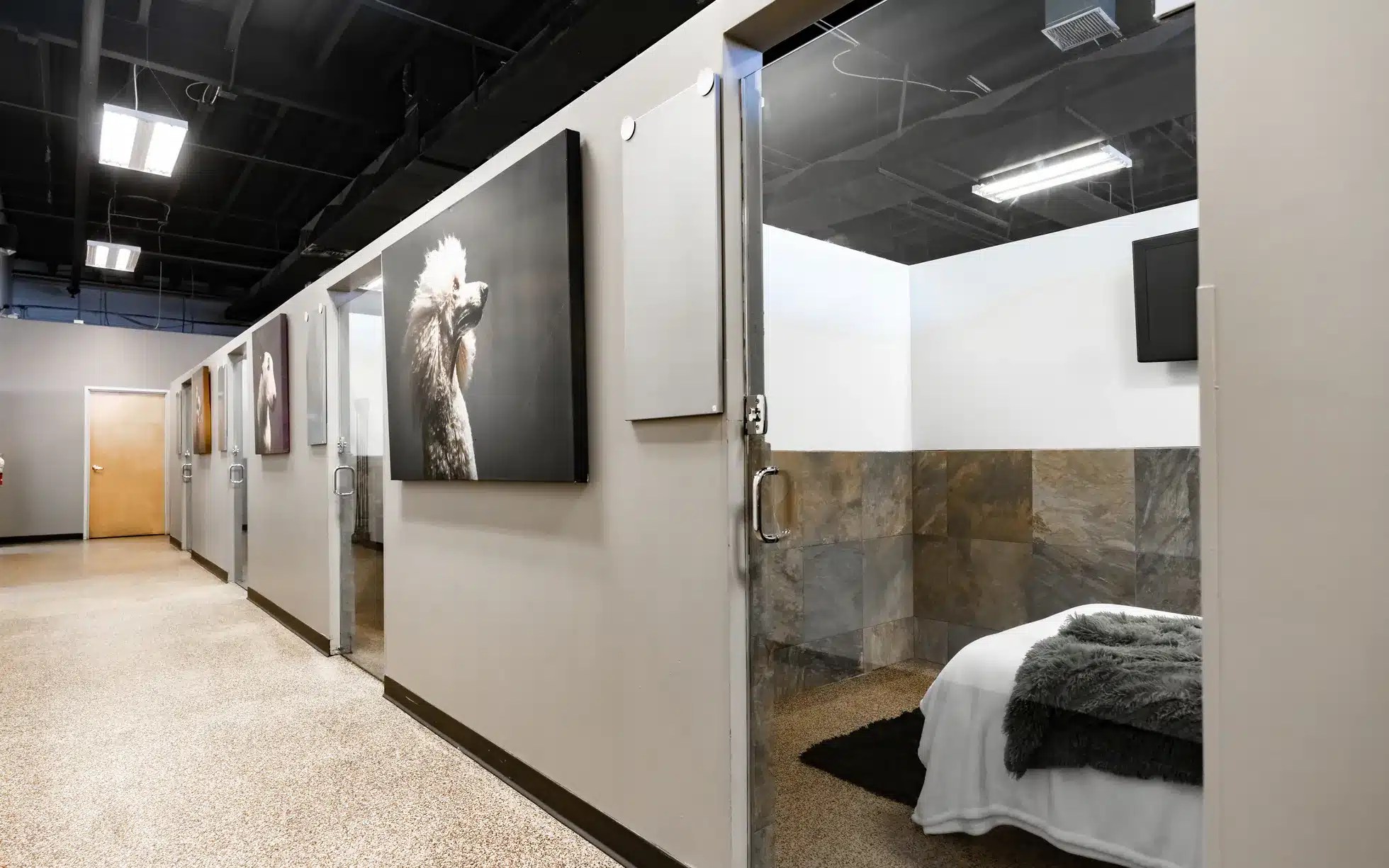 Franchise DPet Hotels