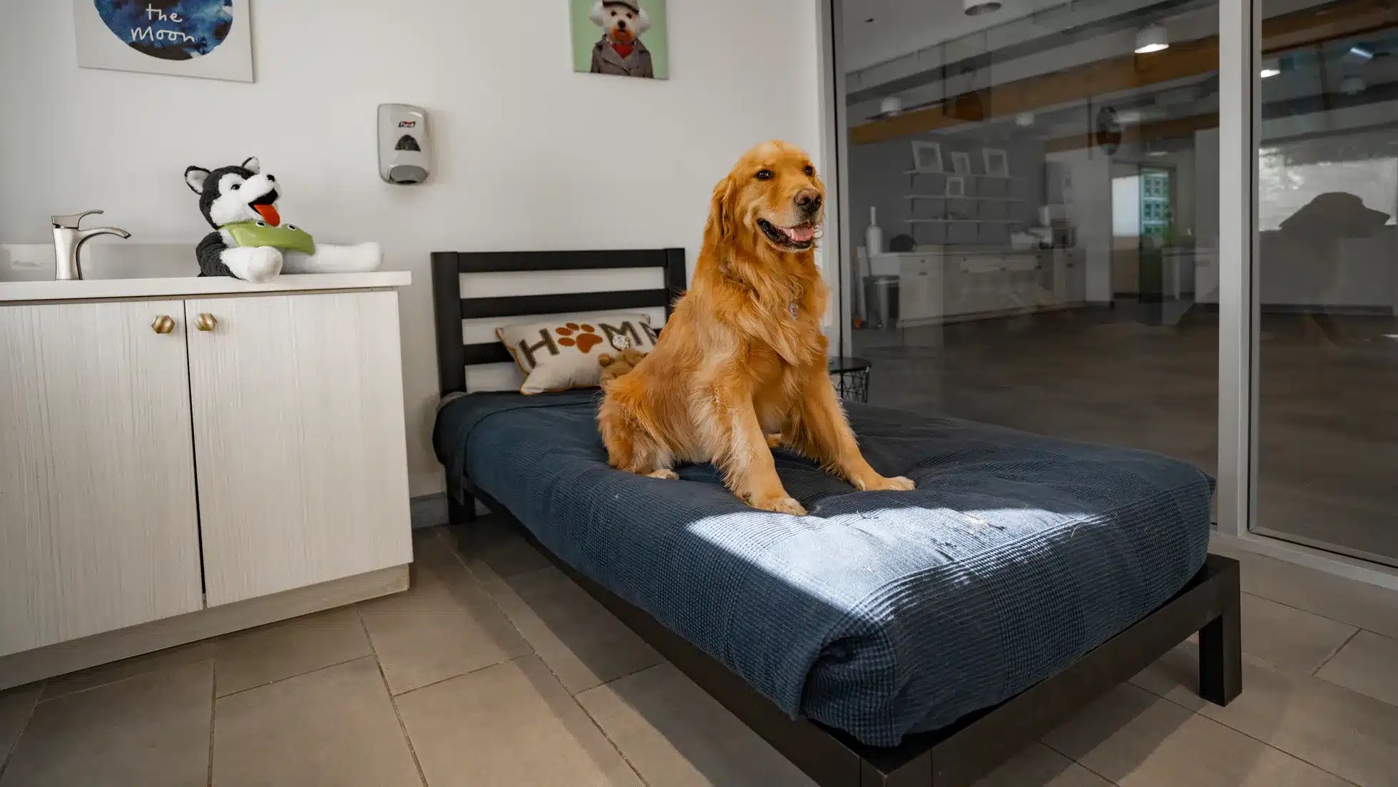 Franchise DPet Hotels