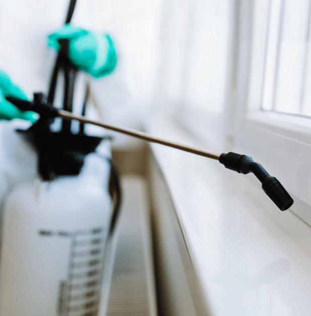 Dependable Pest Control TopNotch Pest Control Solutions