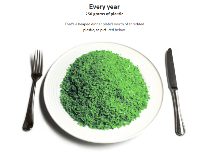 A Plate Full Of Plastics How Much Micro Plastic Do We Consume? DPO