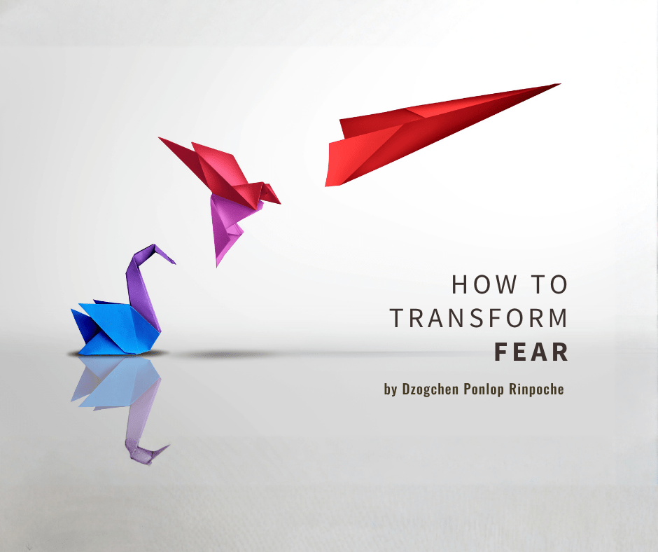 A bright blue origami swan with purple head and neck sits on smooth gray water, the reflection of the swan mirrored under the water’s surface. Above and to the right of the swan is a red and pink origami bird in flight, in line with a red origami paper airplane seeming to take off to the right.