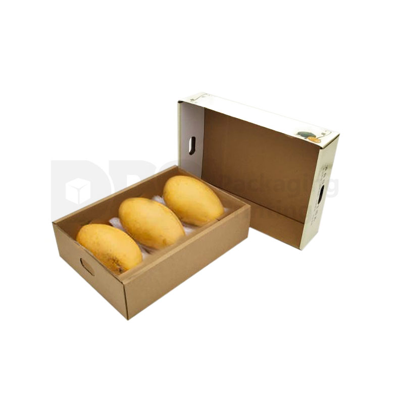 Excellent Quality Boxes for Mango Packaging at DPS.