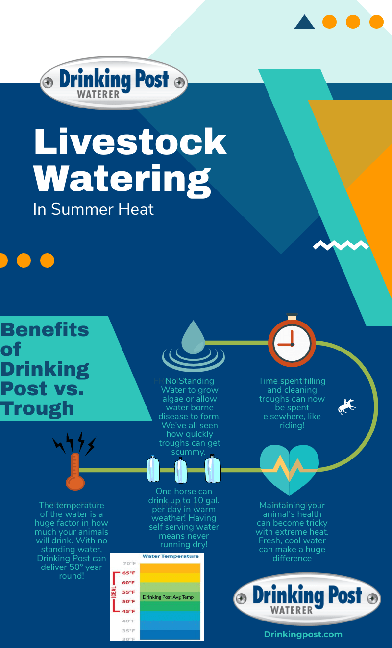 Livestock Watering In Summer Heat Drinking Post Automatic Waterer