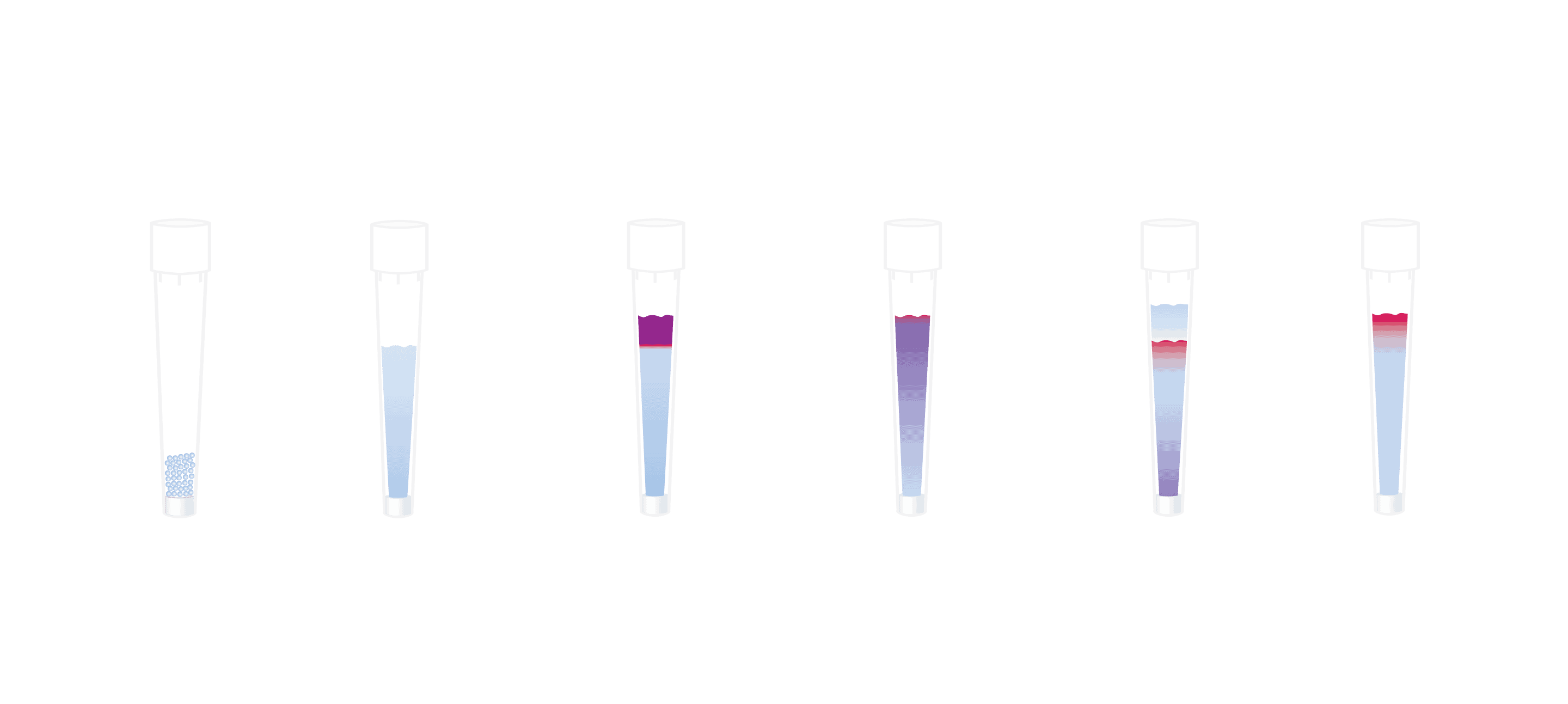 INTip Size Exclusion Chromatography
