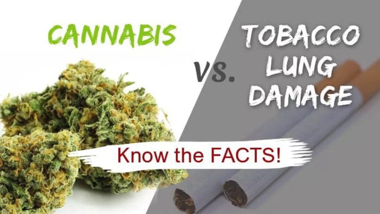 Marijuana VS Cigarettes — What Is Better For You?