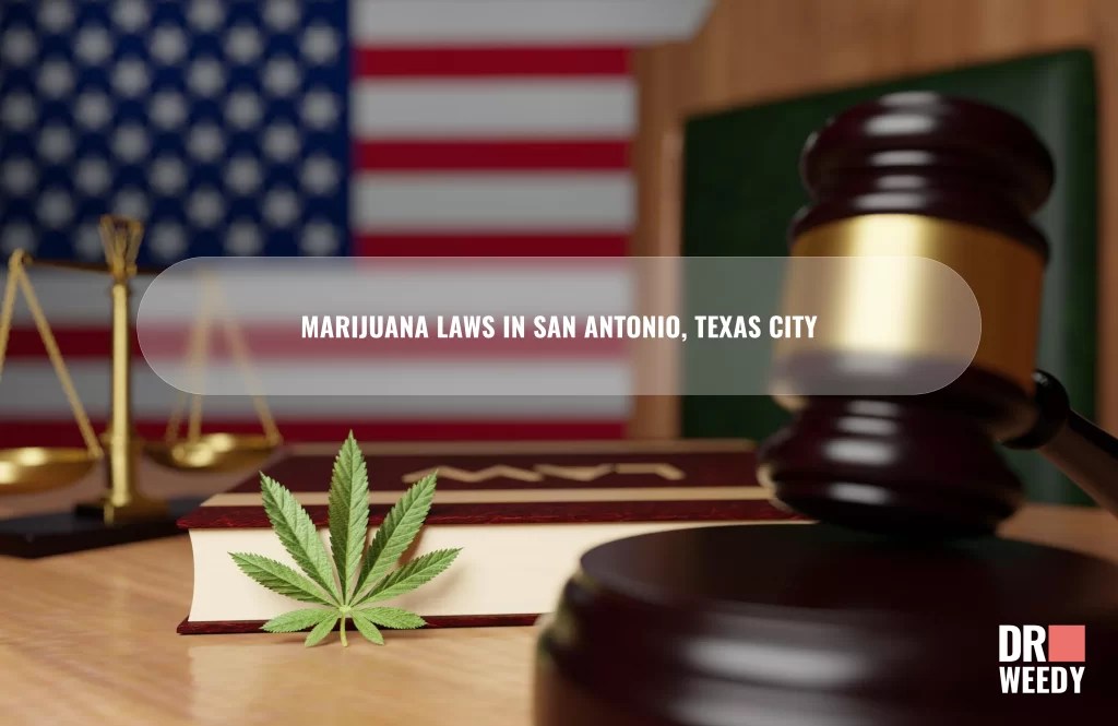 Medical Marijuana Card San Antonio, Texas, 2024