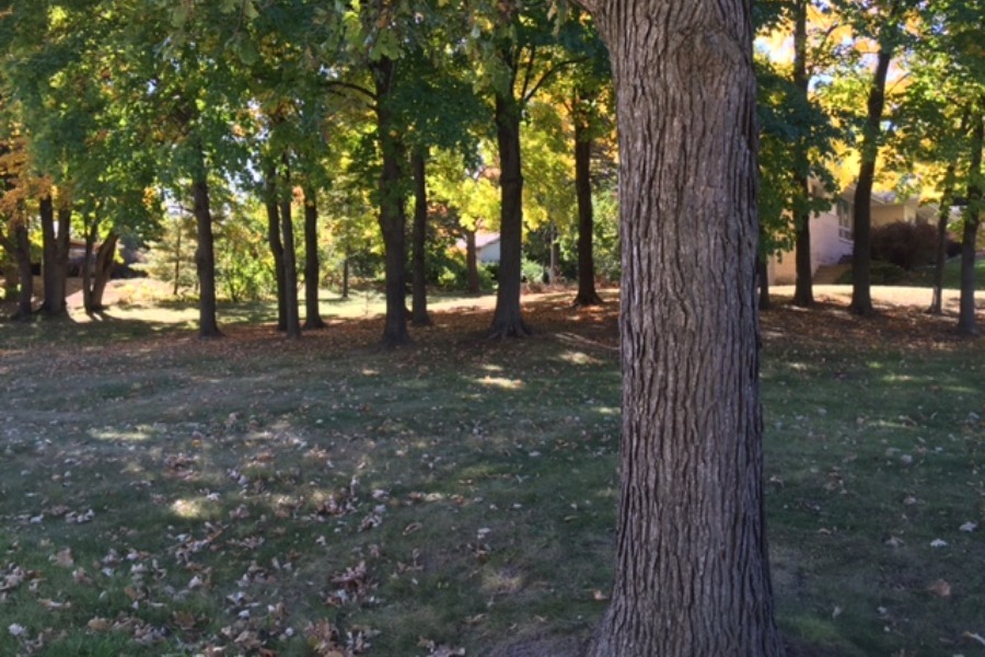 Benson Oak Grove Subdivision in Bloomington, IL Hoodle