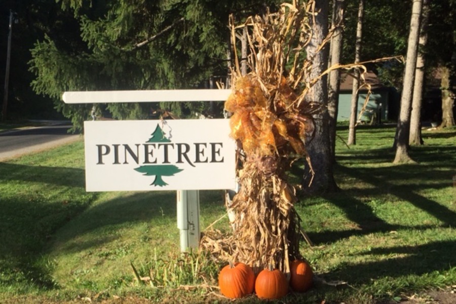 Subdivision in Mahomet, IL Hoodle