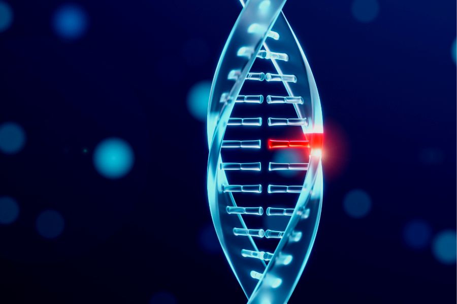 What is DNA Damage? Can it be Treated? Abdullah Armağan