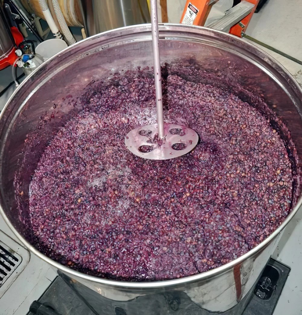 Pump Overs and Punch Downs • Dracaena Wines