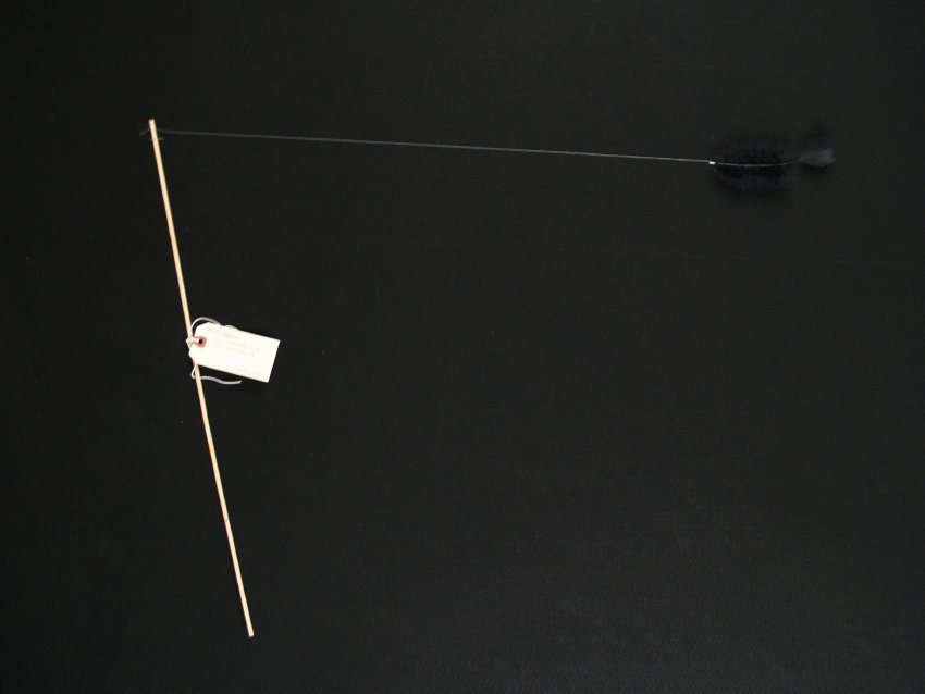 Peters Feather Kite DrachenKite