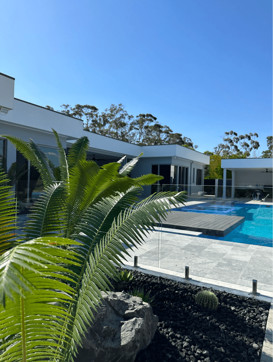 Plant Supply Draco Concepts Dragon Trees & Nursery Dural