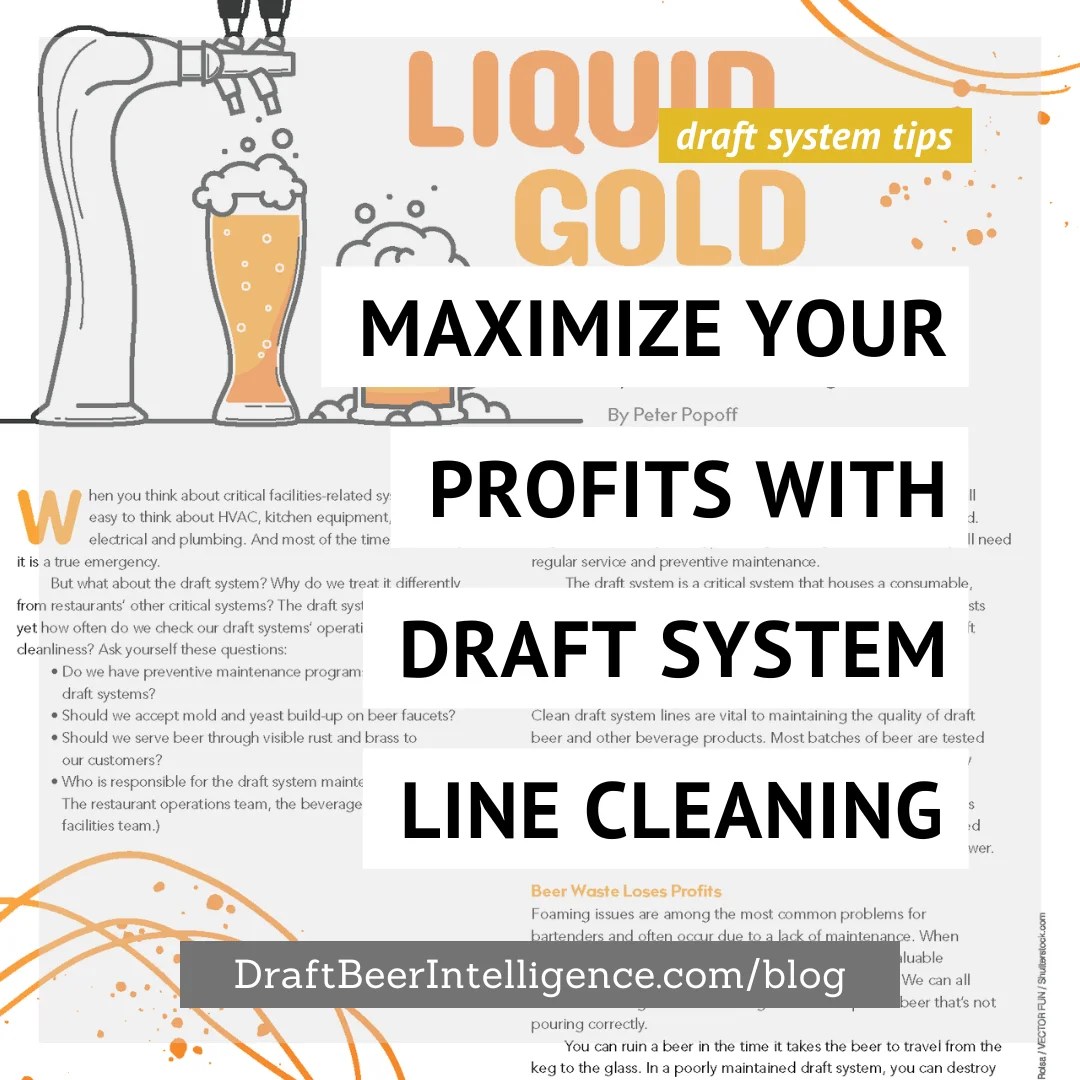 Maximize Your Profits With Draft System Line Cleaning Draft Beer