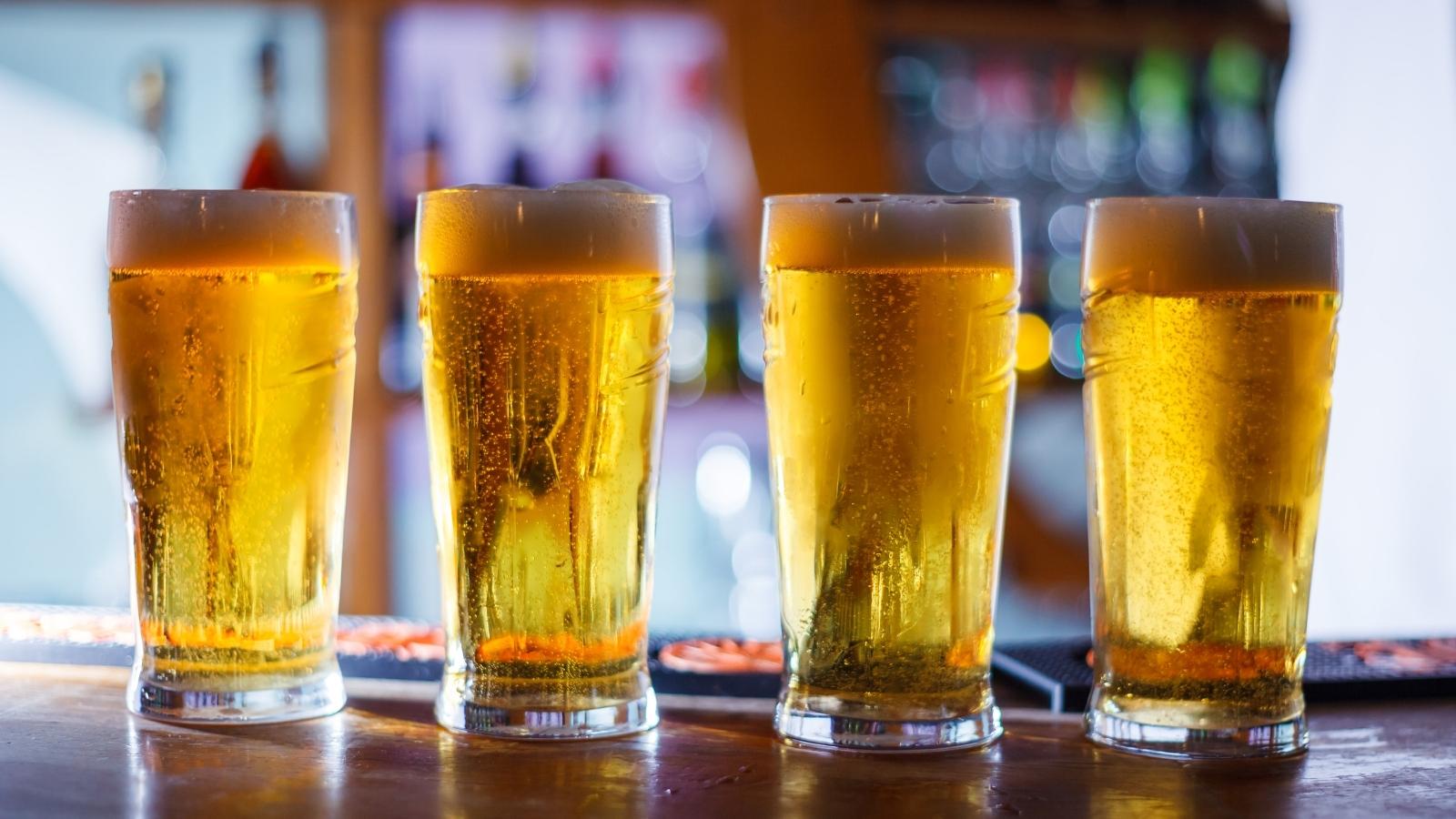 Best Aldi Beer Top Grocery Store Beer Brands for You To Try