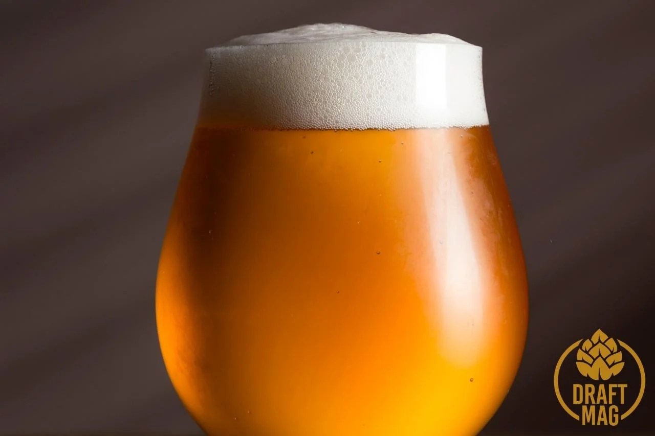 Hazy Beer A Complete Guide to the New Hazy Ales on the Block