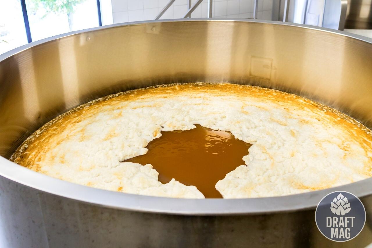 How to Kettle Sour The Ultimate Guide to the Quick Souring Technique