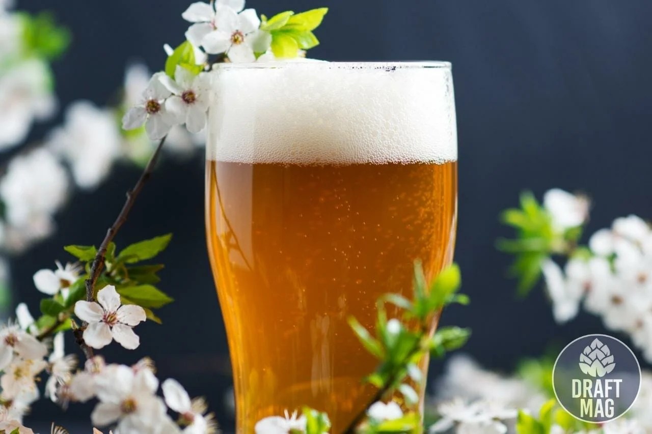 American IPA What Makes This the Most Popular Craft Beer in the US