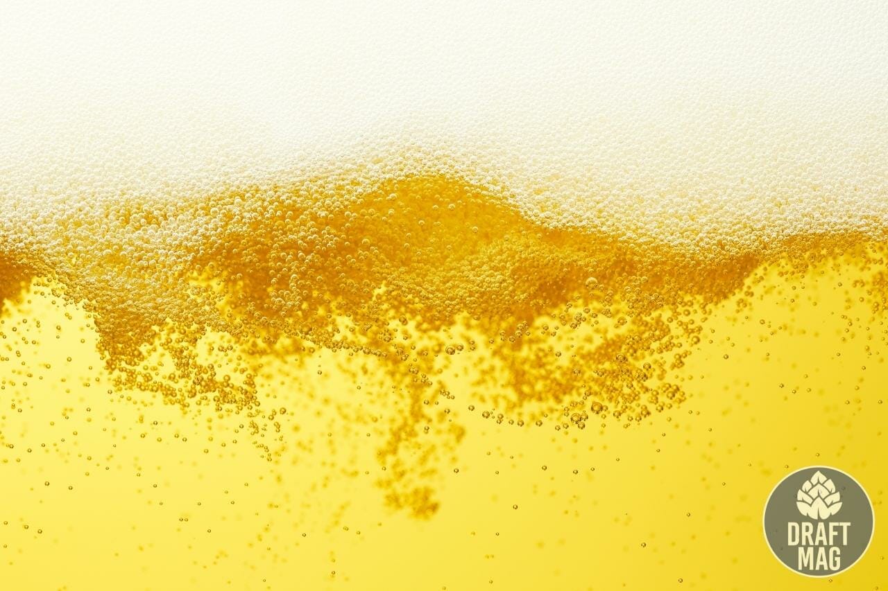 Etensel Beer The Brews of Guadeloupe Every Etensel Fan Should Know