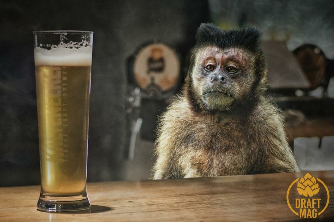 Funny Beer Names That Are Guaranteed To Give You a Big Laugh