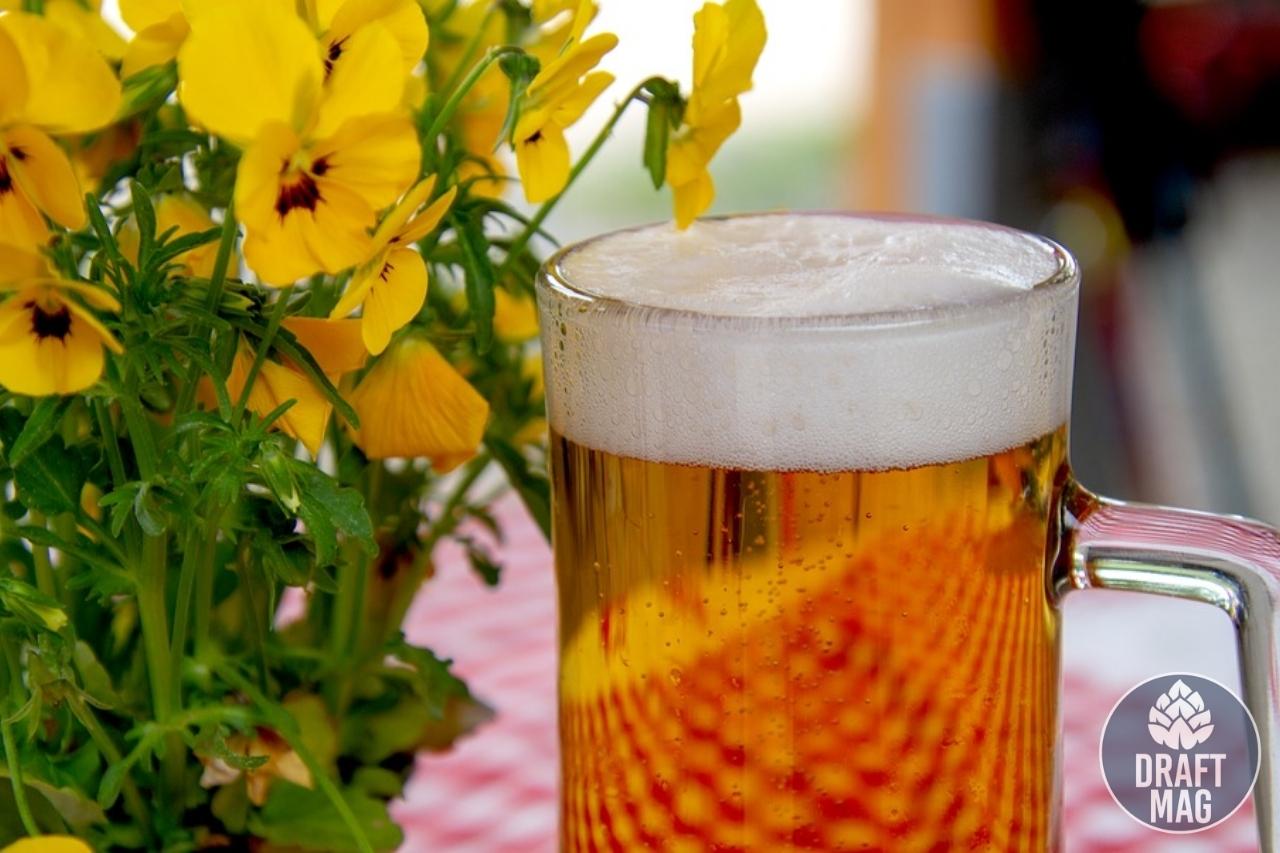 Yellow Rose Beer Review An Indepth Look at This Popular Ale