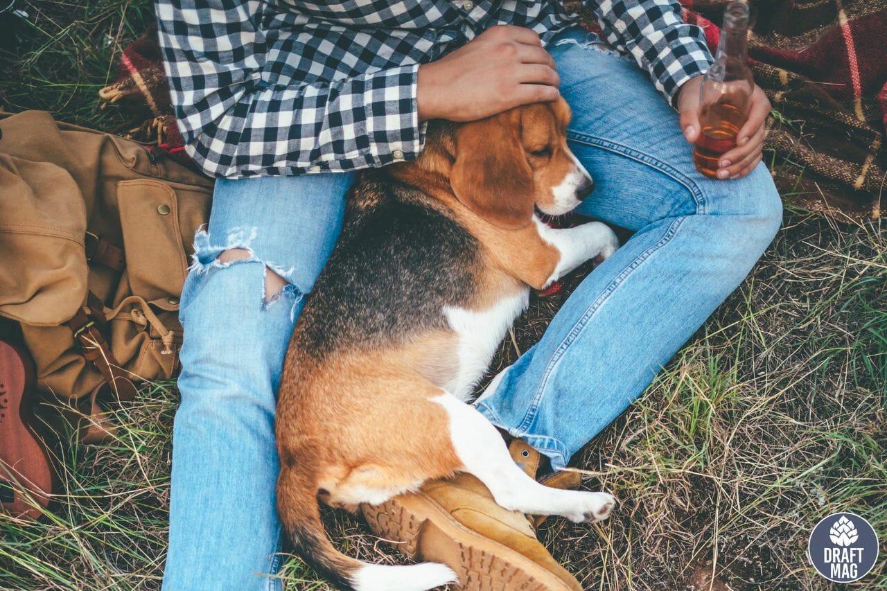 30 Beer Names for Dogs Get Inspired by Beer and Beer Brands