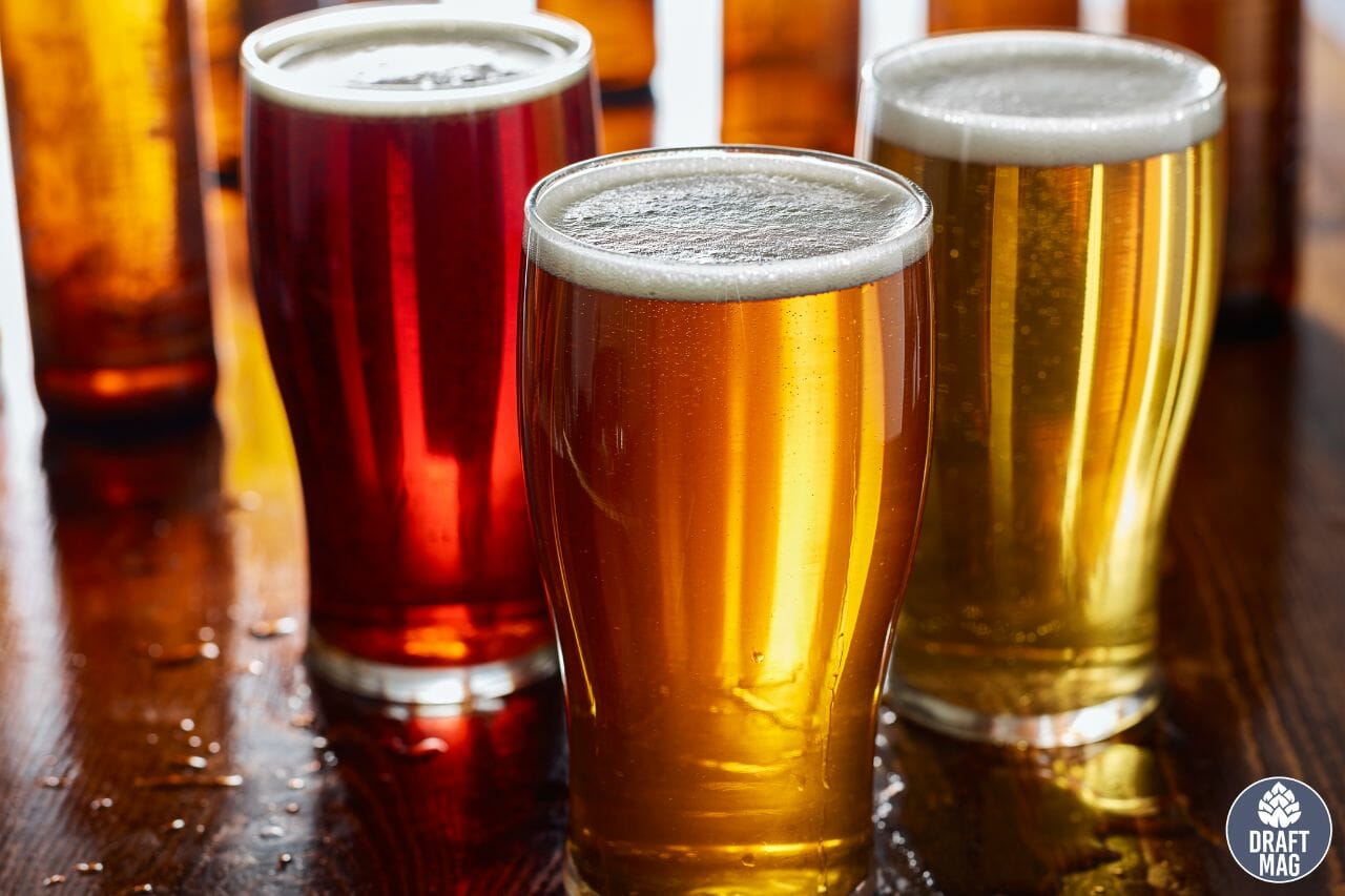 Whale’s Tale Beer Review A Guide to This Special English Pale Ale