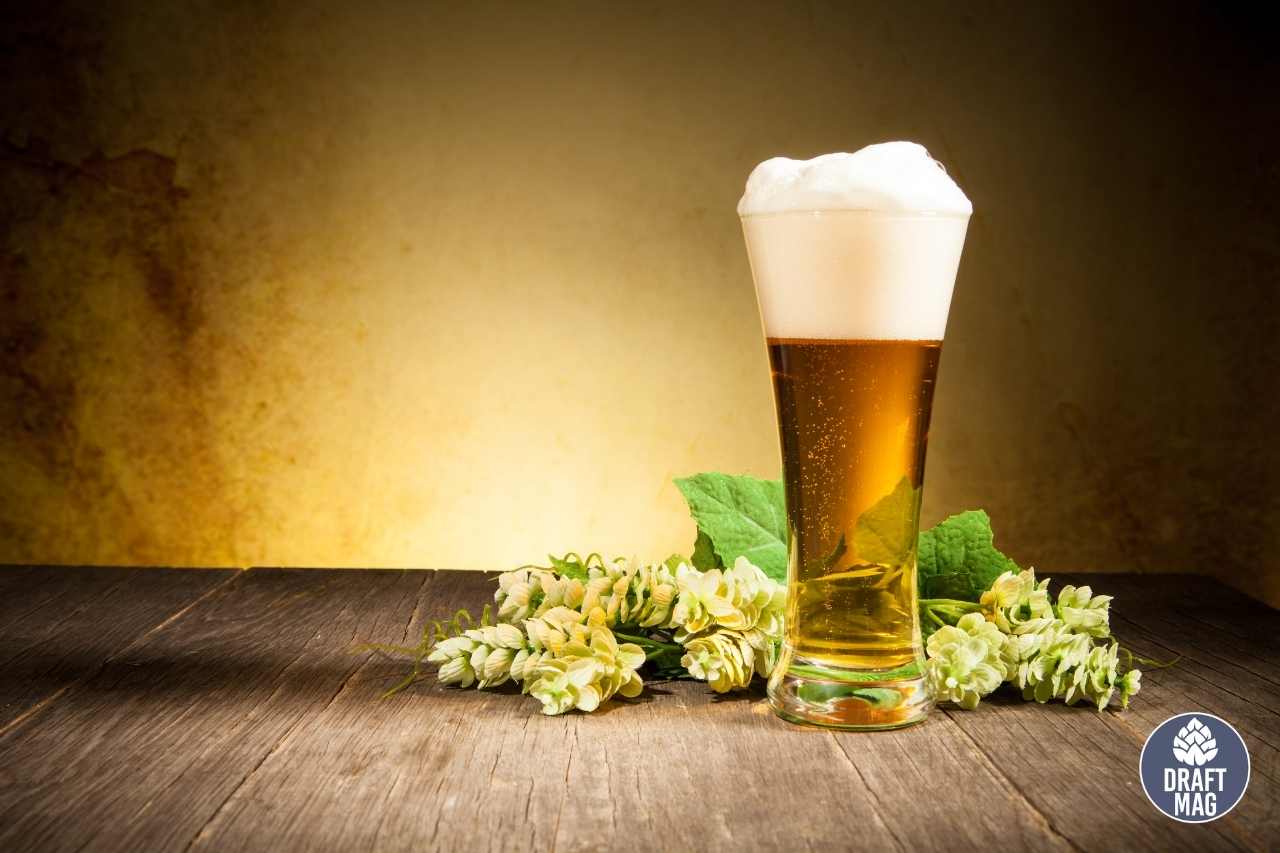 Ale vs Beer A Complete Guide to Key Differences and Similarities
