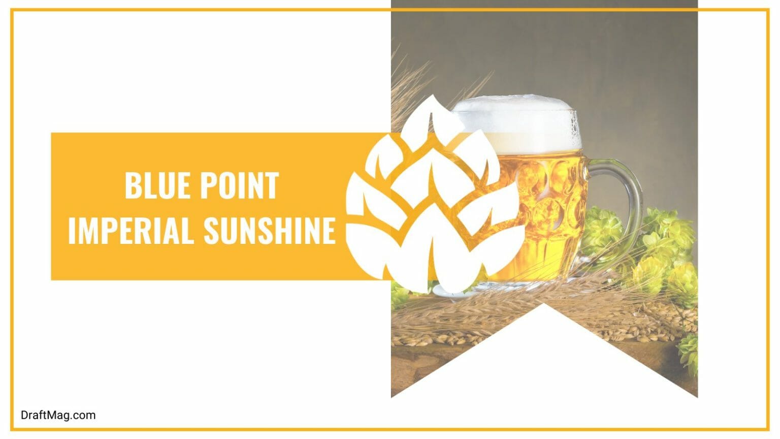 Blue Point Imperial Sunshine Review Is This the Perfect Blonde Ale?