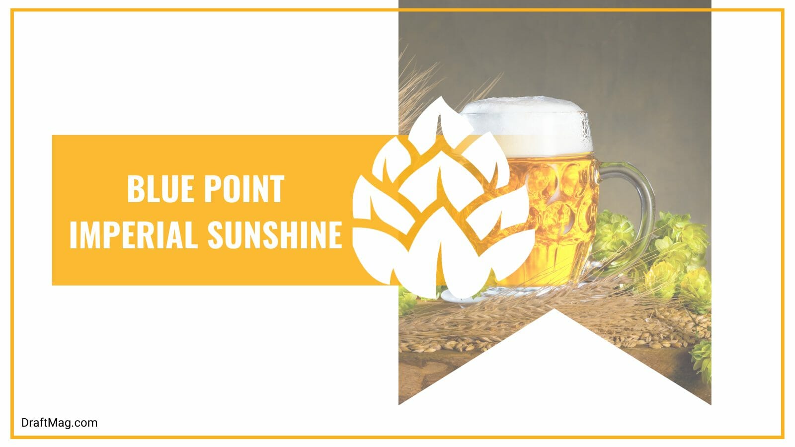 Blue Point Imperial Sunshine Review Is This the Perfect Blonde Ale?