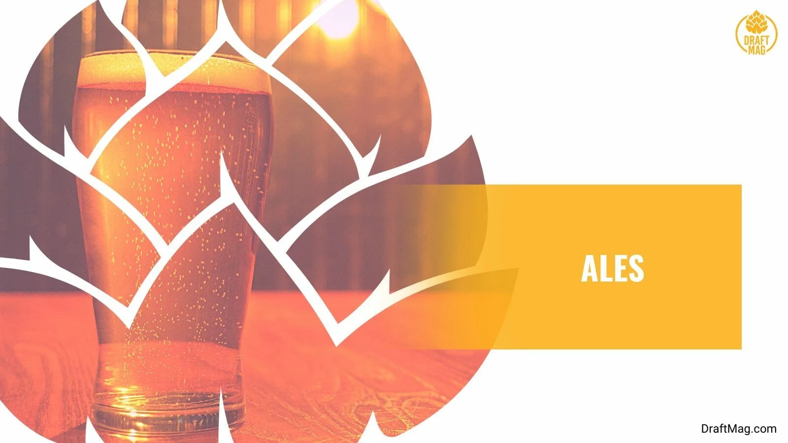 What Has More Alcohol Beer or Wine? The Official Verdict