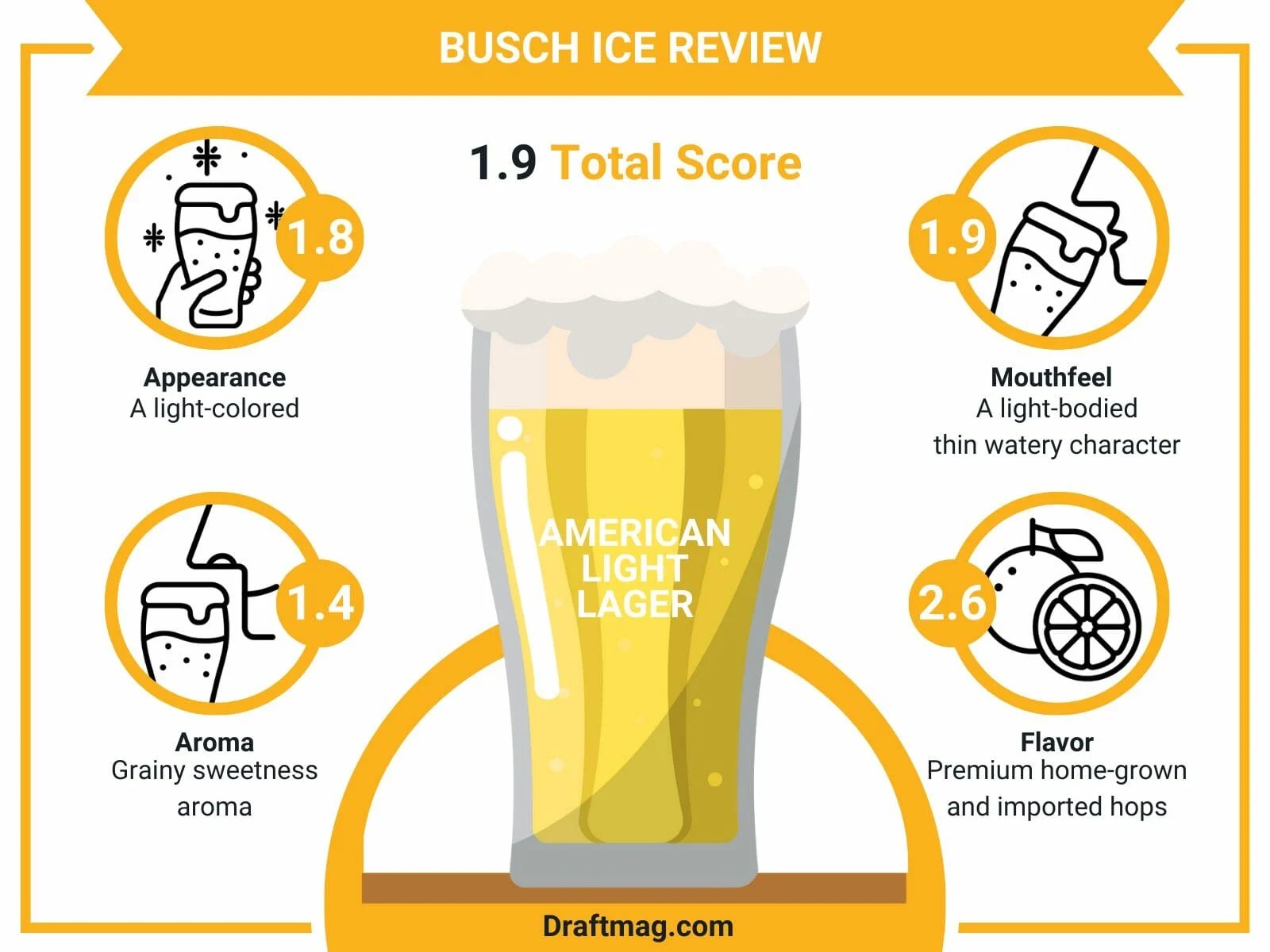 Busch Ice Review The Complete Guide to This Special Light Lager