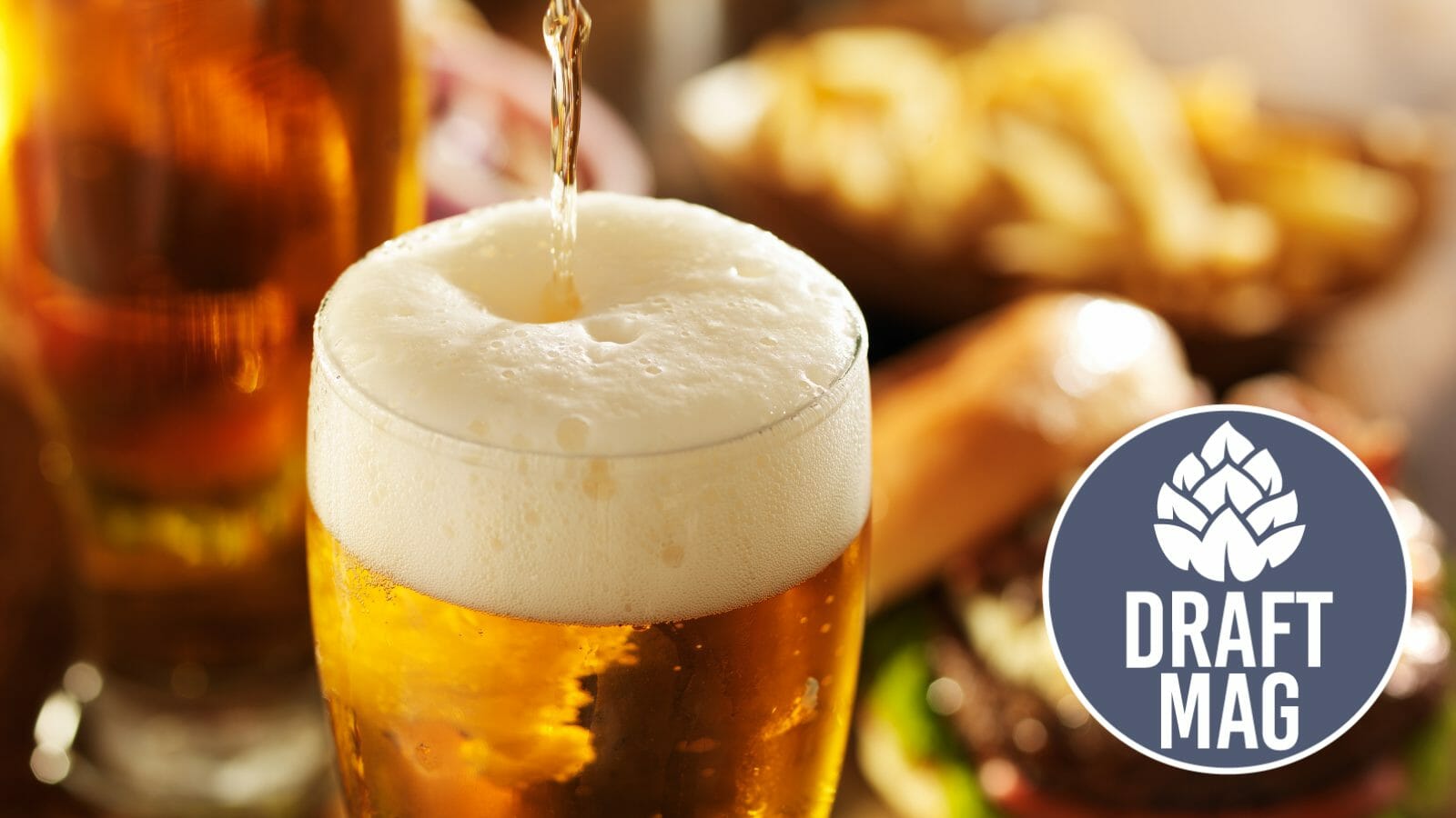 Busch Ice Review The Complete Guide to This Special Light Lager