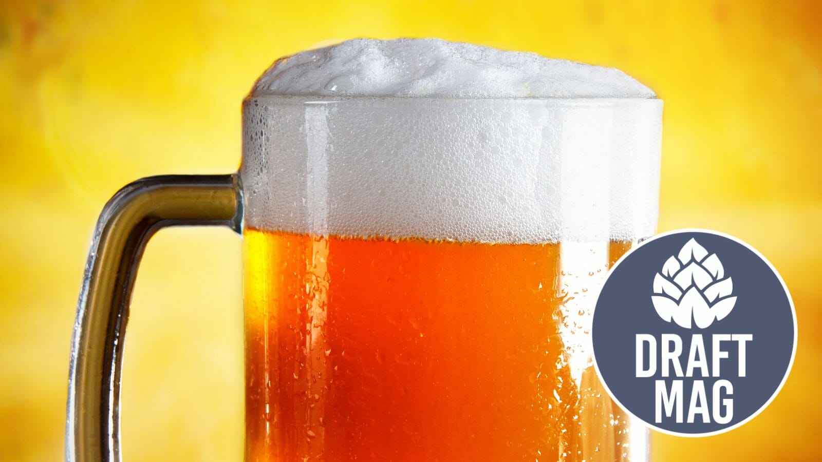 Daisy Cutter Beer Review For Pale Ale Lovers