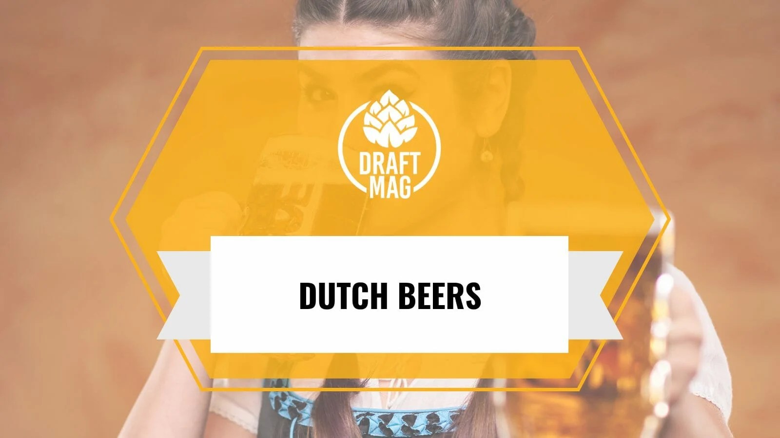 Dutch Beer A Complete Guide To Traditional and Newage Beers
