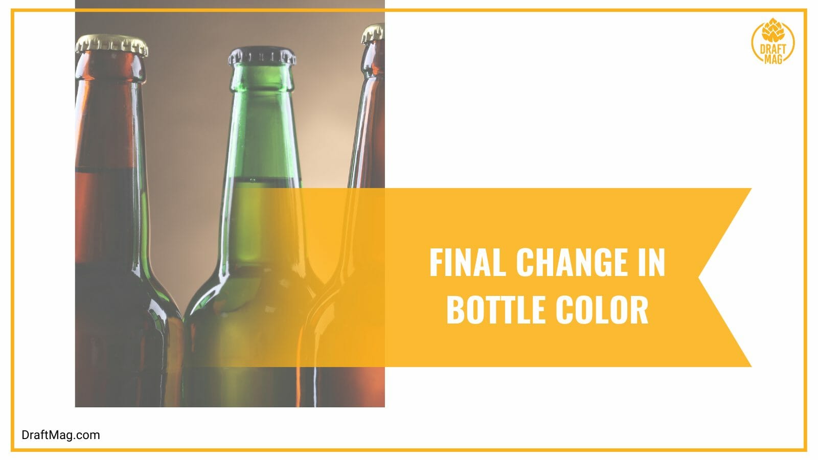 Why Are Beer Bottles Brown? Here’s Everything You Need To Know
