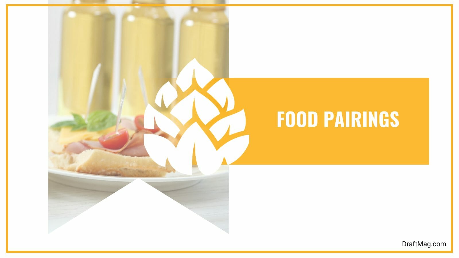 Regia Beer Review The Brew That Boasts of Numerous Accolades