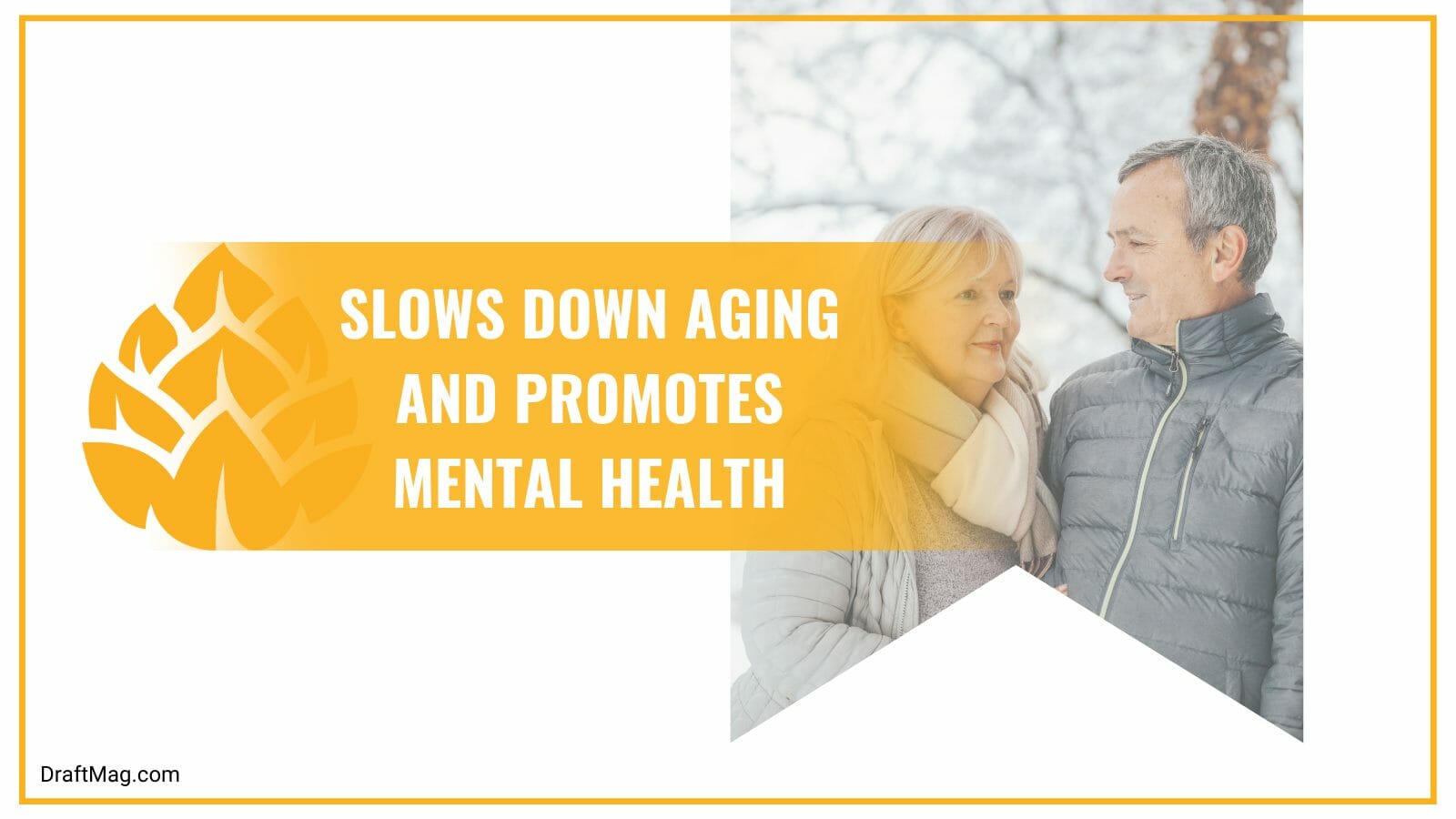 Is Ginger Beer Good for You? Everything You Should Know