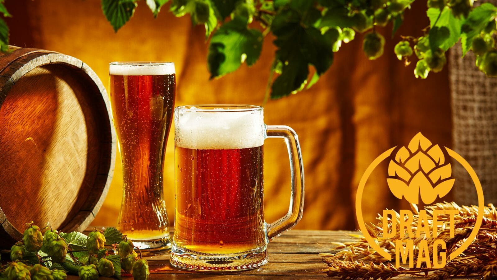 Goose Island Matilda Review A Rich Belgian Ale That Grows on You