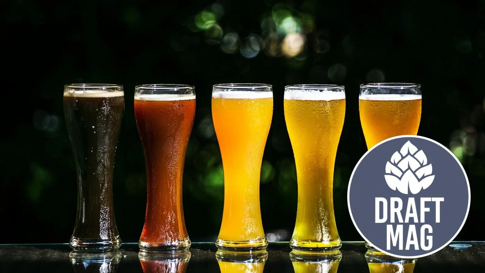 Goose Island 312 Review A Bright and Crisp Wheat Beer for All