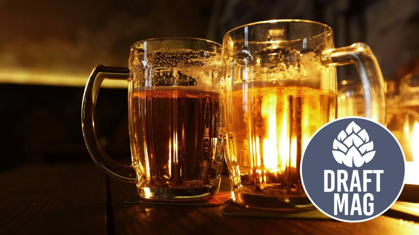 Hungarian Beer The Best Beer Brands in Hungary To Enjoy