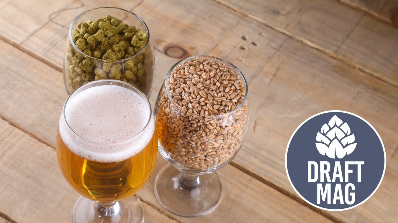 Little Kings Beer Review Made for the Cream Ale Lovers