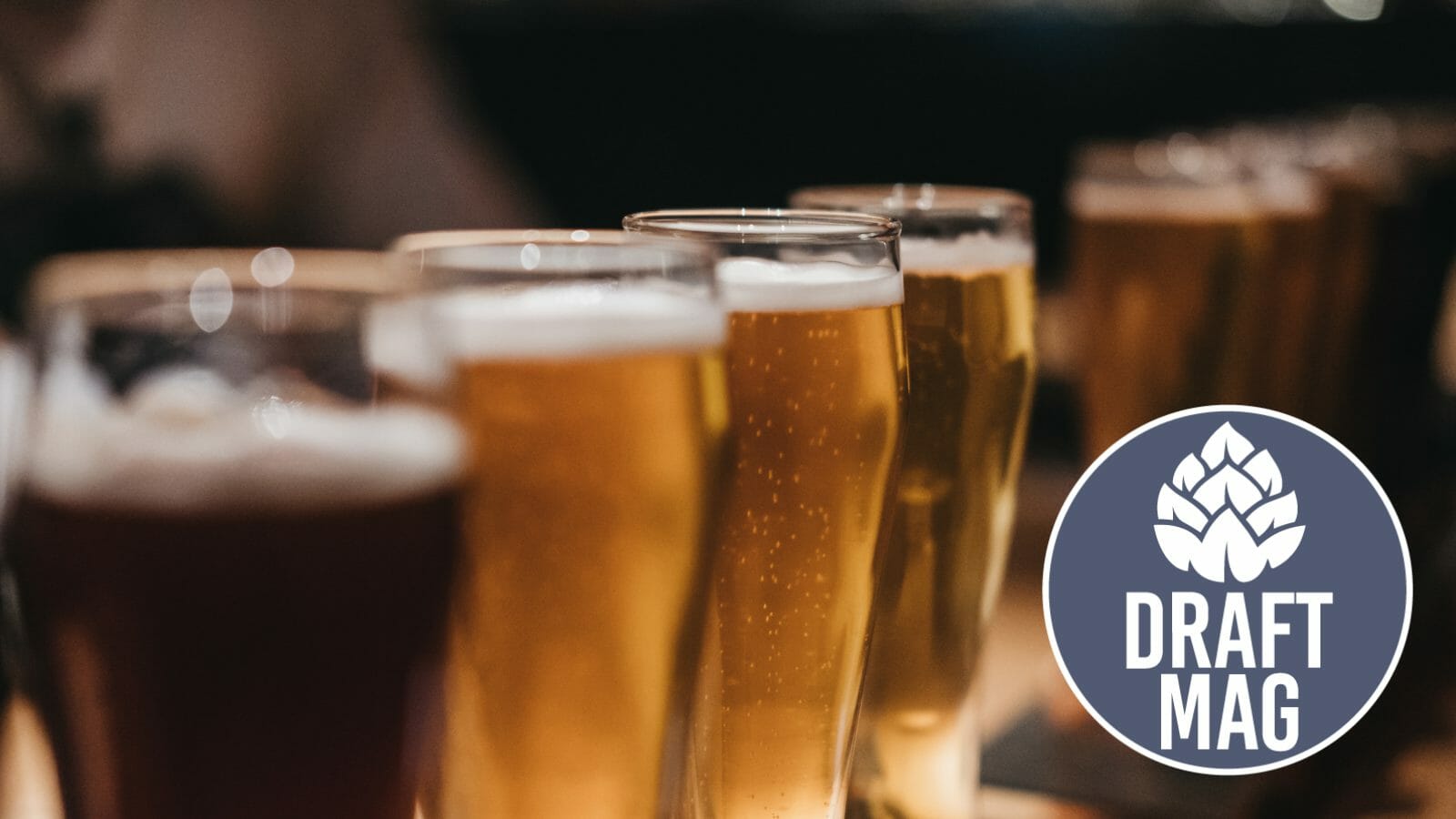 Red Dog Beer Review One of The Best Brew for the Summer