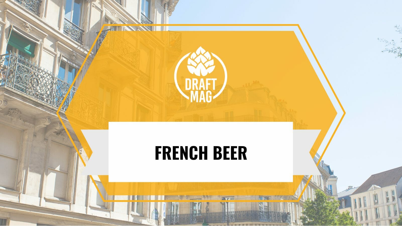 French Beer The Global Standard of Excellence in Brewing