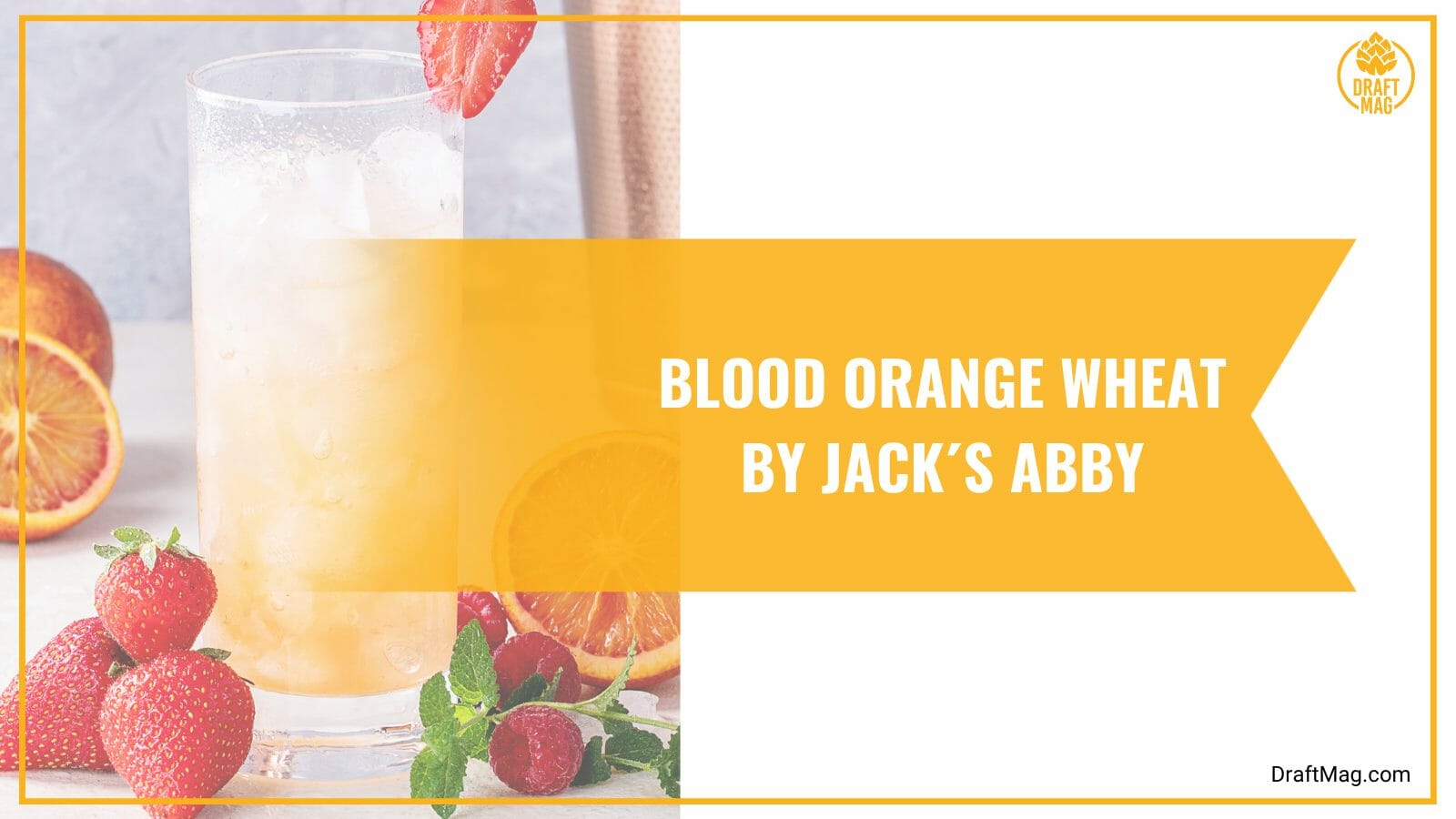 Fruit Beer Types Check Out These Variants You Can’t Miss