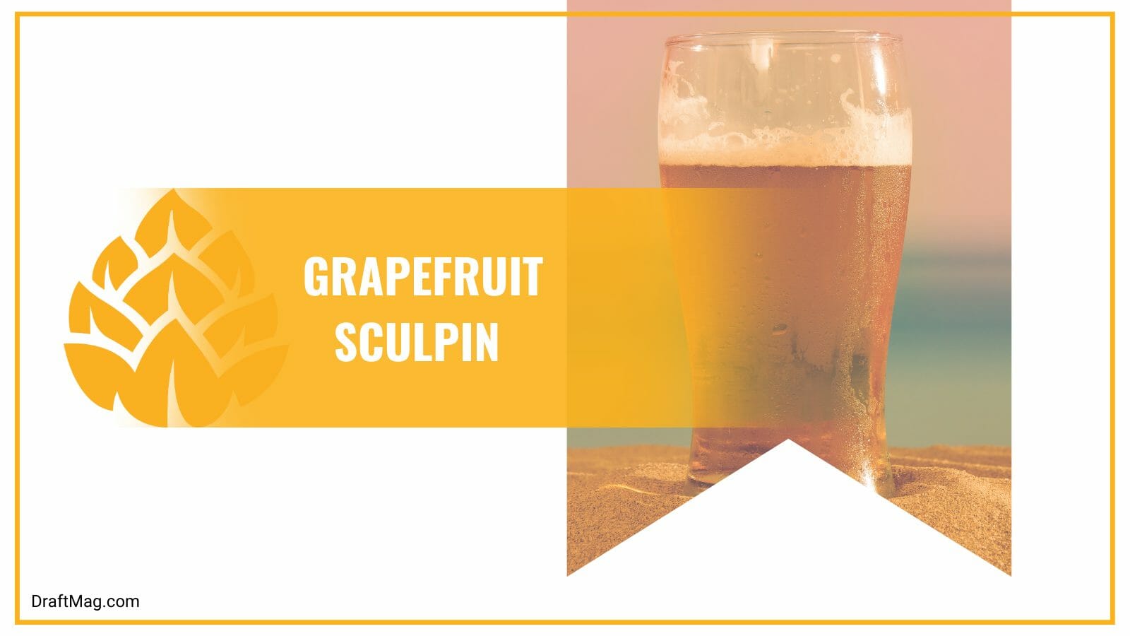 Fruit Beer Types Check Out These Variants You Can’t Miss