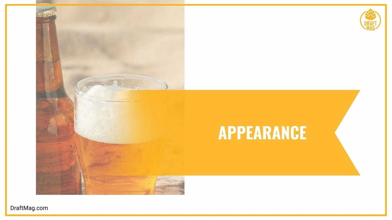 Johnny Utah Beer Review Super Smooth and Tropical Pale