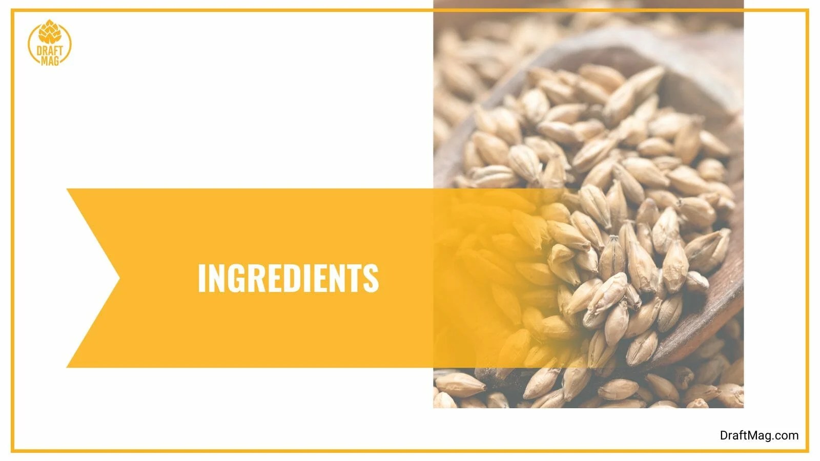 Sierra Nevada Powder Day Review Shimmery and Fruity IPA Draft Mag