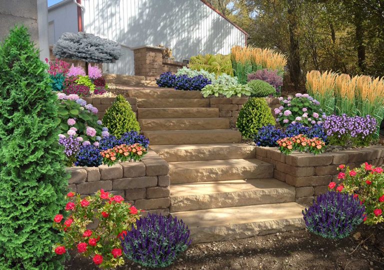 Best Free Landscape Design App For 2020 A Complete Guide DRAFTSCAPES